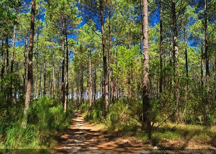 Amarine Apartament *